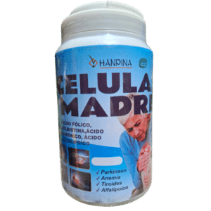 CELULA MADRE