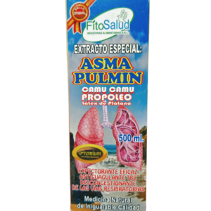 ASMA PULMIN