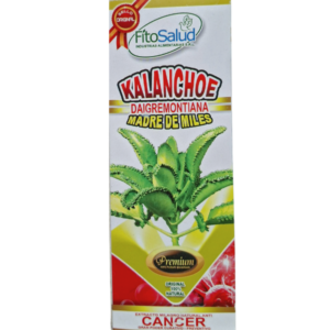 KALANCHOE