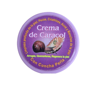CARACOL CONCHA PERLA MORADA